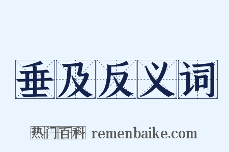 垂及反义词是什么意思的图片